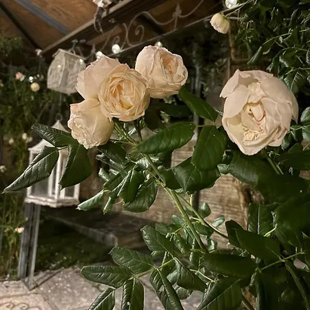 Hotel Mon Repos Sirmione